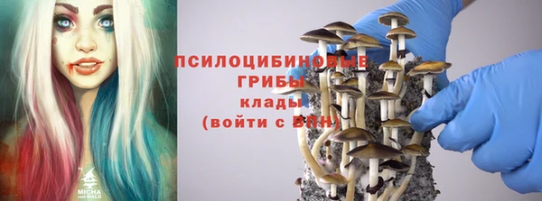молекула духа Россошь