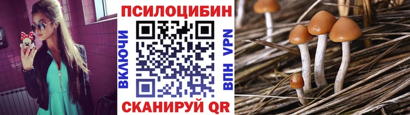 Галлюциногенные грибы ЛСД  blacksprut как зайти  Вилюйск  цена  